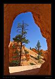 Bryce Canyon 42